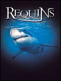 le-monde-des-requins-requins-3d