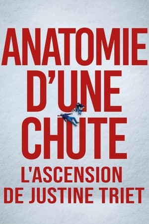 anatomie-dune-chute-lascension-de-justine-triet