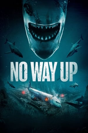 no-way-up