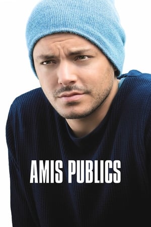 amis-publics